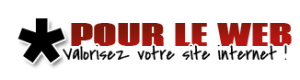Pour le Web, agence de communication globale et web-marketing