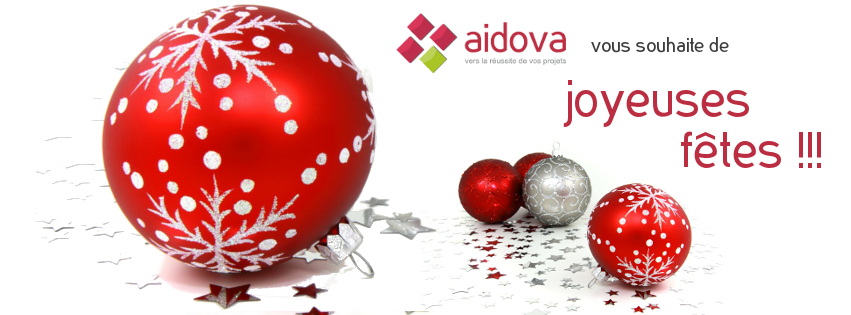 De joyeuses fêtes de la part d'Aidova !