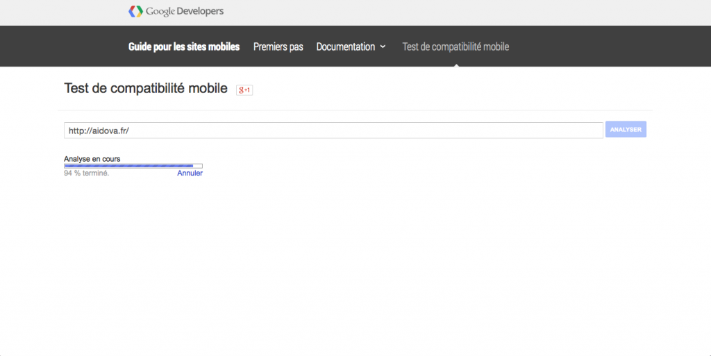 Test de compatibilité mobile de Google